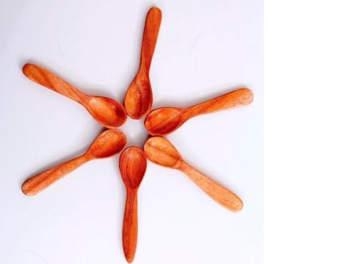 Handmade Sheesham Wood Masala Spoons, 10 cm Length, Set of 6, Chemical-Free