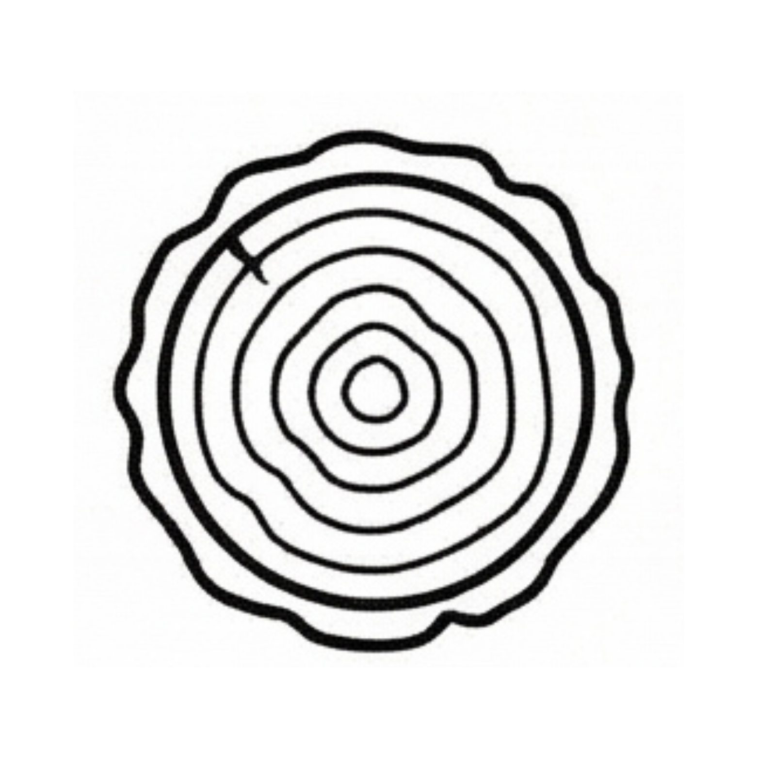 Eco-Friendly & Sustainable