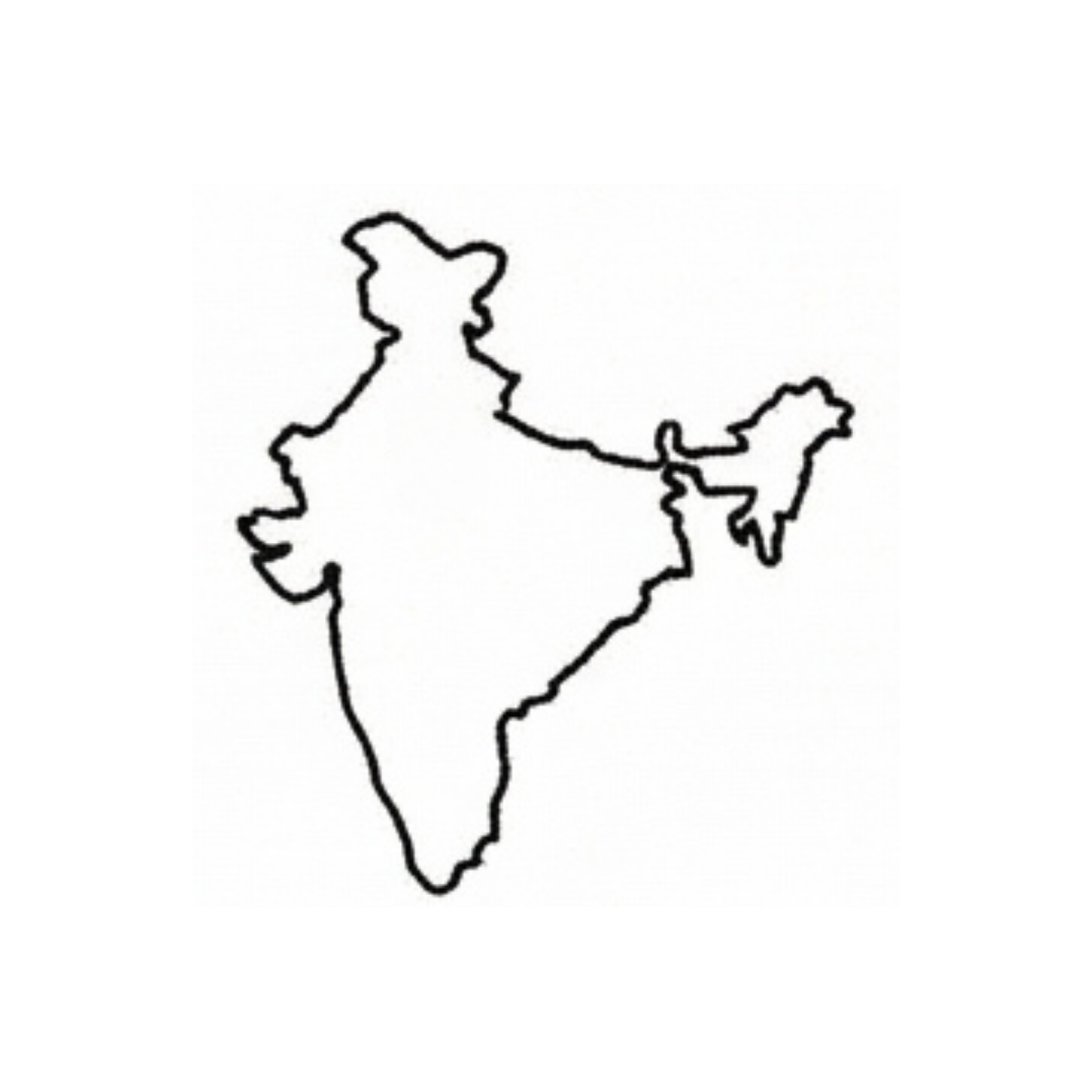 Premium Natural Wood